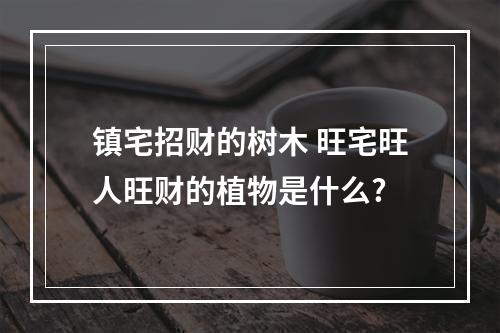 镇宅招财的树木 旺宅旺人旺财的植物是什么?
