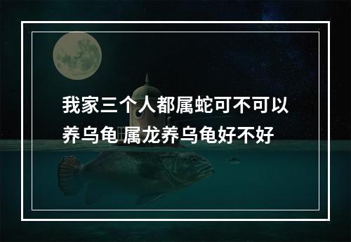 我家三个人都属蛇可不可以养乌龟 属龙养乌龟好不好