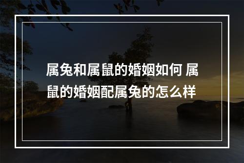 属兔和属鼠的婚姻如何 属鼠的婚姻配属兔的怎么样