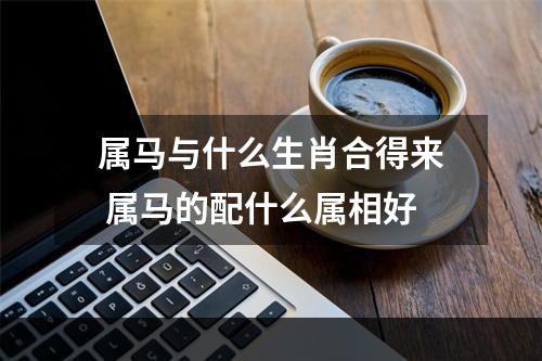 属马与什么生肖合得来 属马的配什么属相好