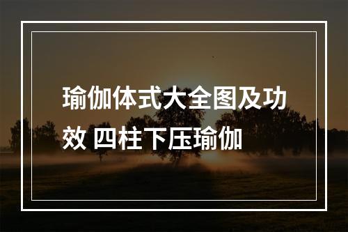 瑜伽体式大全图及功效 四柱下压瑜伽