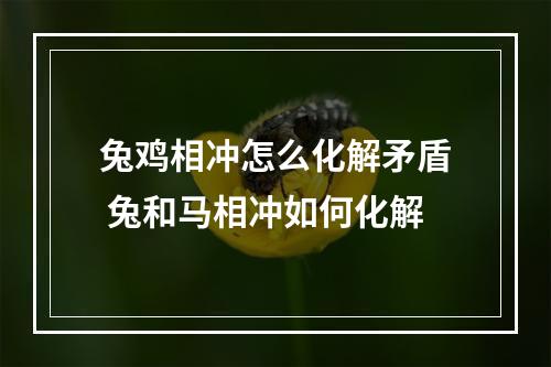 兔鸡相冲怎么化解矛盾 兔和马相冲如何化解