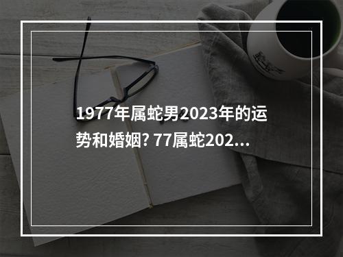 1977年属蛇男2023年的运势和婚姻? 77属蛇2023感情