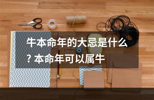 牛本命年的大忌是什么? 本命年可以属牛