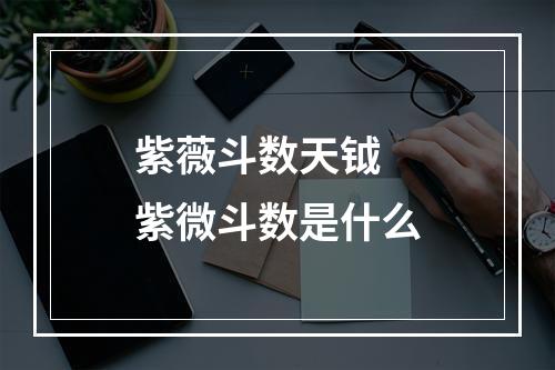 紫薇斗数天钺 紫微斗数是什么