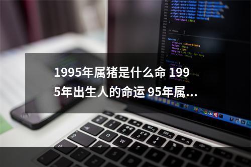 1995年属猪是什么命 1995年出生人的命运 95年属猪的属相是什么命