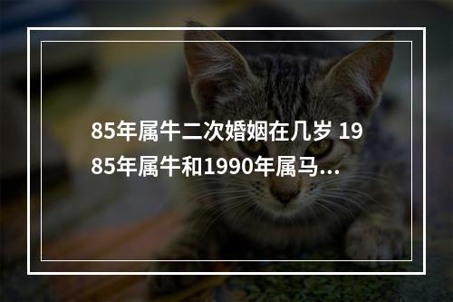 85年属牛二次婚姻在几岁 1985年属牛和1990年属马配吗