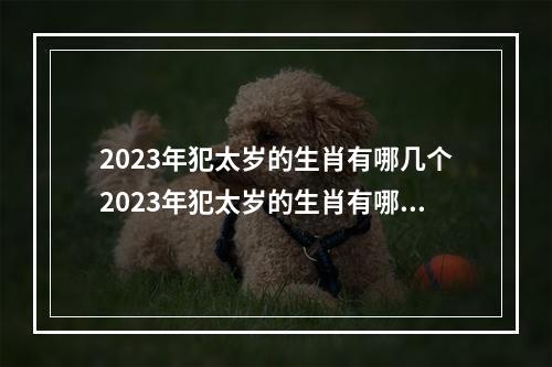 2023年犯太岁的生肖有哪几个2023年犯太岁的生肖有哪几个属相 秦东魁2023年牛年犯太岁