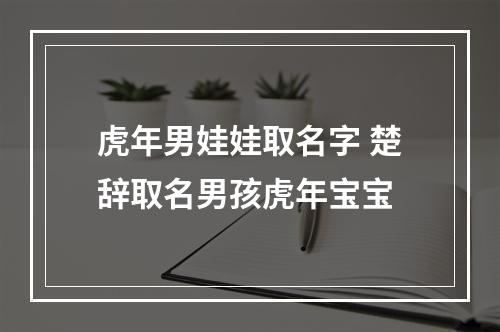 虎年男娃娃取名字 楚辞取名男孩虎年宝宝