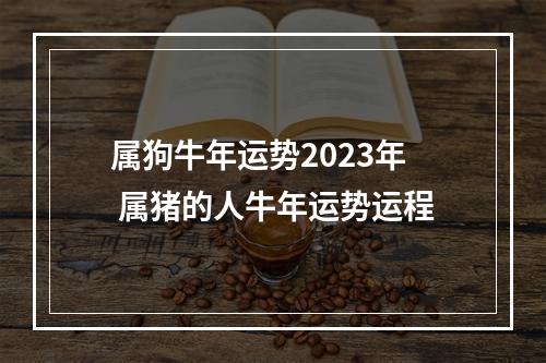 属狗牛年运势2023年 属猪的人牛年运势运程
