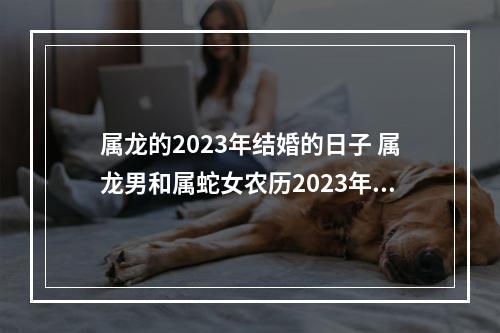 属龙的2023年结婚的日子 属龙男和属蛇女农历2023年正月初六结婚好吗?