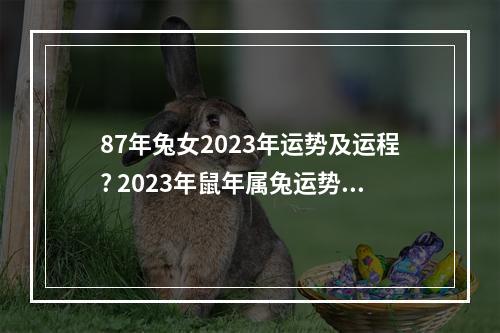 87年兔女2023年运势及运程? 2023年鼠年属兔运势及运程