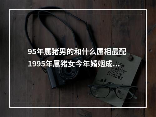 95年属猪男的和什么属相最配 1995年属猪女今年婚姻成功不
