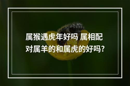 属猴遇虎年好吗 属相配对属羊的和属虎的好吗?