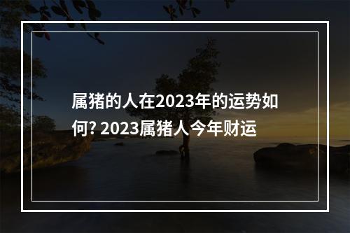 属猪的人在2023年的运势如何? 2023属猪人今年财运