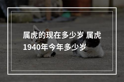 属虎的现在多少岁 属虎1940年今年多少岁