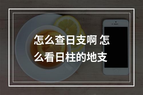 怎么查日支啊 怎么看日柱的地支
