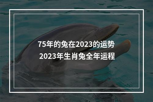 75年的兔在2023的运势 2023年生肖兔全年运程
