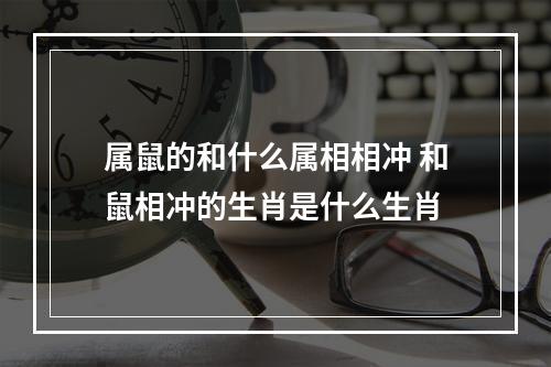 属鼠的和什么属相相冲 和鼠相冲的生肖是什么生肖