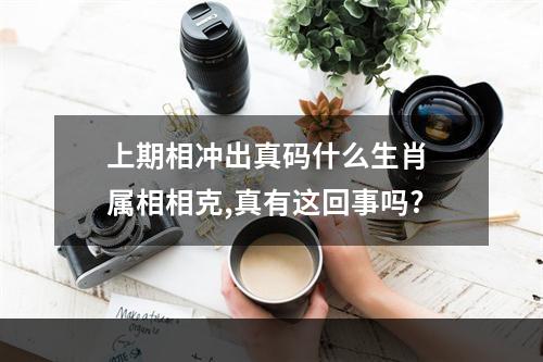 上期相冲出真码什么生肖 属相相克,真有这回事吗?