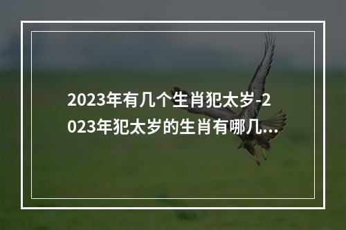 2023年有几个生肖犯太岁-2023年犯太岁的生肖有哪几个 属虎的辛丑年犯太岁吗