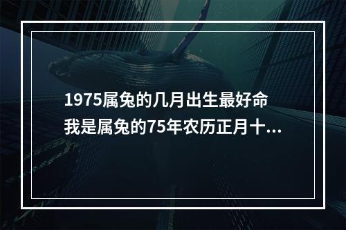1975属兔的几月出生最好命 我是属兔的75年农历正月十六生日是啥命的人