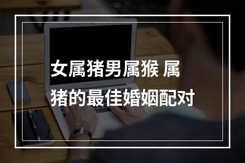 女属猪男属猴 属猪的最佳婚姻配对