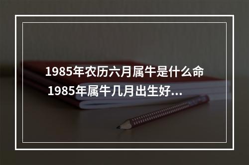 1985年农历六月属牛是什么命 1985年属牛几月出生好阳历九月十六