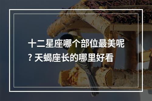十二星座哪个部位最美呢? 天蝎座长的哪里好看