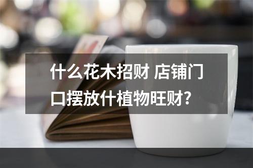 什么花木招财 店铺门口摆放什植物旺财?