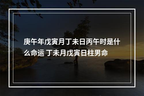 庚午年戊寅月丁未日丙午时是什么命运 丁未月戊寅日柱男命