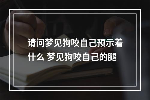 请问梦见狗咬自己预示着什么 梦见狗咬自己的腿