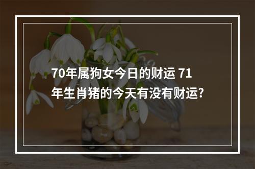 70年属狗女今日的财运 71年生肖猪的今天有没有财运?