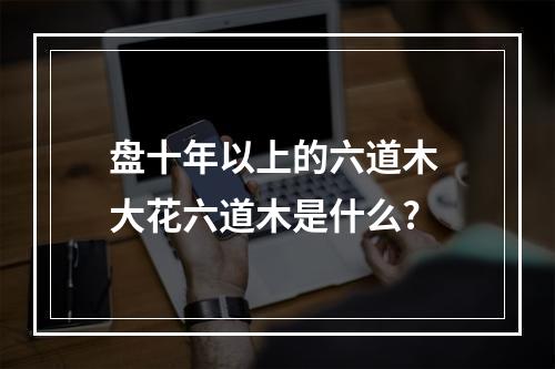 盘十年以上的六道木 大花六道木是什么?