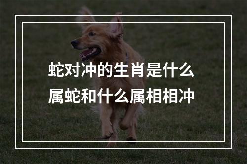 蛇对冲的生肖是什么 属蛇和什么属相相冲