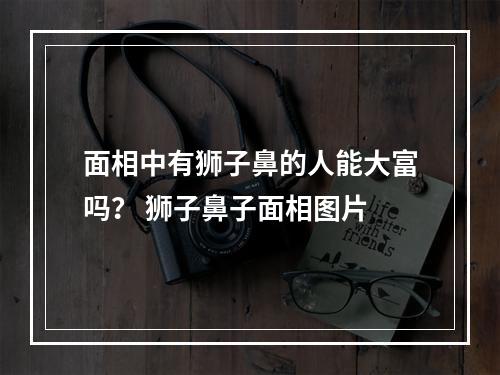 面相中有狮子鼻的人能大富吗？ 狮子鼻子面相图片