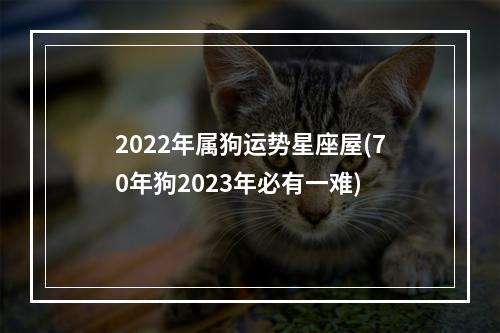 2022年属狗运势星座屋(70年狗2023年必有一难)