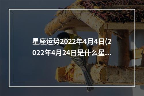 星座运势2022年4月4日(2022年4月24日是什么星座)
