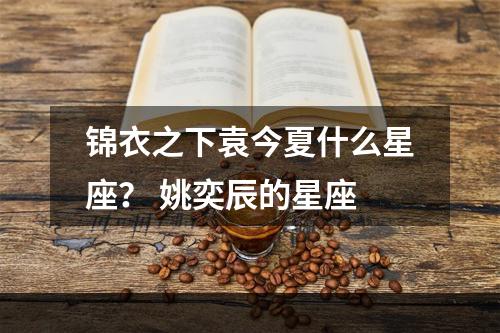 锦衣之下袁今夏什么星座？ 姚奕辰的星座