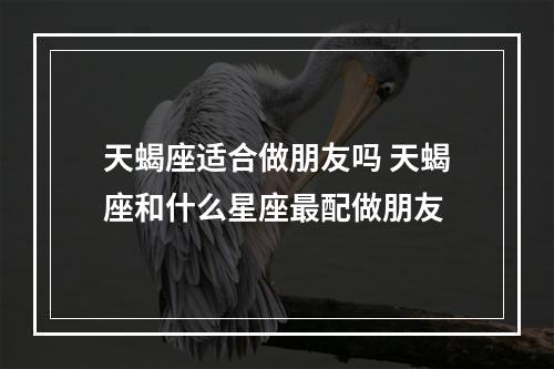 天蝎座适合做朋友吗 天蝎座和什么星座最配做朋友