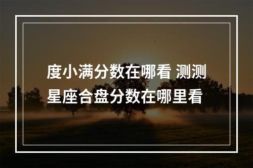 度小满分数在哪看 测测星座合盘分数在哪里看