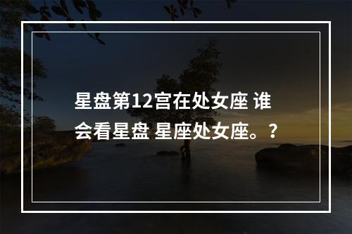 星盘第12宫在处女座 谁会看星盘 星座处女座。？