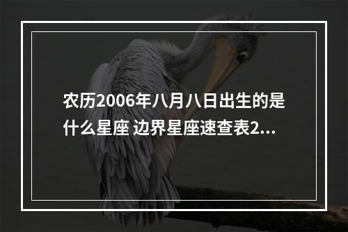 农历2006年八月八日出生的是什么星座 边界星座速查表2006
