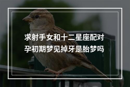 求射手女和十二星座配对 孕初期梦见掉牙是胎梦吗