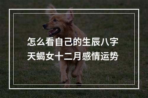 怎么看自己的生辰八字 天蝎女十二月感情运势