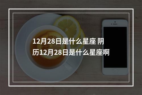 12月28日是什么星座 阴历12月28日是什么星座啊