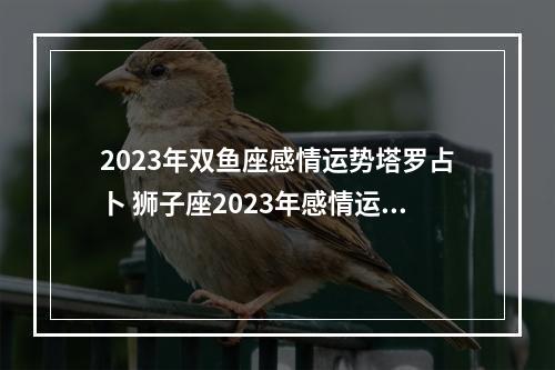 2023年双鱼座感情运势塔罗占卜 狮子座2023年感情运势塔罗牌
