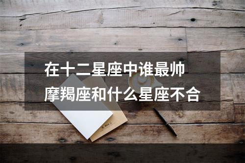 在十二星座中谁最帅 摩羯座和什么星座不合