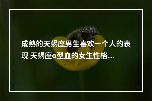 成熟的天蝎座男生喜欢一个人的表现 天蝎座o型血的女生性格是什么样的?