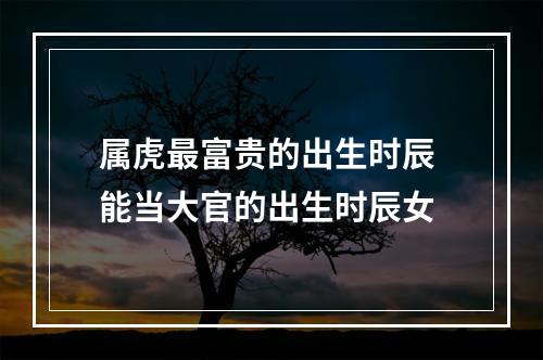 属虎最富贵的出生时辰 能当大官的出生时辰女